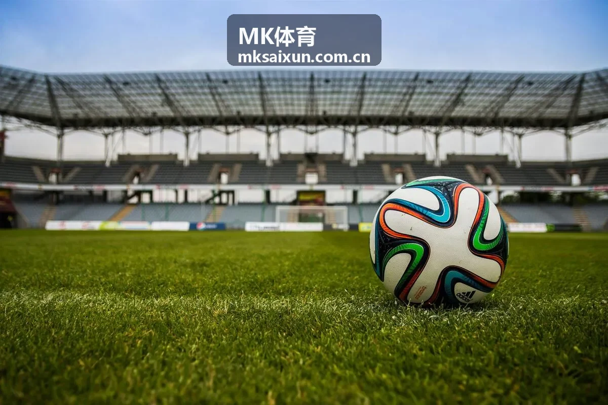 MK体育热门排行封面